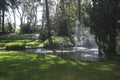 Beautiful gardens with conserved trees and palms in City of Wanneroo Western Australia Royalty Free Stock Photo