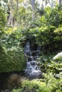 Beautiful gardens with fountains, conserved trees and palms in City of Wanneroo Western Australia Royalty Free Stock Photo