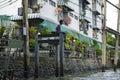 A city on the water people live on a canal a river in Thailand a fisherman catches fish