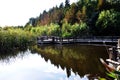 City wetland at Wusong Shanghai Royalty Free Stock Photo