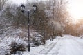 city winter park with lanterns with sun glare Royalty Free Stock Photo