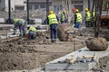 City workers planting trees