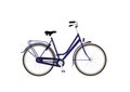 Citybike with blue frame and back-pedal brake.