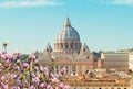 St. Peter's cathedral in Rome, Italy Royalty Free Stock Photo