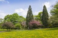 CityPark (Stadtgarten) in center of Freiburg im Breisgau, German Royalty Free Stock Photo