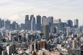 Cityscape aerial view of Shinjuku area with business buildings district and houses, Fuji mountain in background