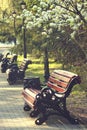 Cityscape. Alley in the park on the street on March 8 in Yekaterinburg. Royalty Free Stock Photo