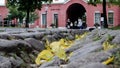 cityscape - autumn in the city. autumn fallen yellow leaves on the paving stones. pedestrian walking area in the city.