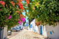 Cityscape of blue and white town Sidi Bou Said. Tunisia, North Africa