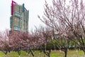 Cityscape of Changchun City in in Spring Royalty Free Stock Photo