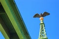 Cityscape - closeup view of the top of the mast of the Liberty Bridge in Budapest decorated with an bronze statue of the mythologi