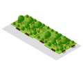 Cityscape design elements with isometric garden