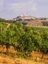 Cityscape of Estremoz, the White City in Alentejo region, Portugal. Vines in the foregrund.