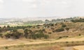 Cityscape fields blossom, Modiin, Israel. Royalty Free Stock Photo