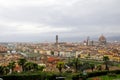 cityscape of florenze Royalty Free Stock Photo