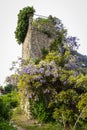 Cityscape with flowers at Montresor, France