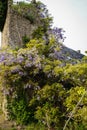 Cityscape with flowers at Montresor, France