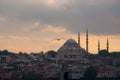 Cityscape of Istanbul at the evening, seaside view with silhouettes of mosques in old town. Istanbul skyline