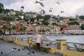 Cityscape of the town of SANTA MARGHERITA LIGURE. An elderly woman feeds birds on the embankment. Lonely pensioner