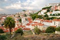 Cityscape of Lisbon with palm