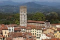 Tower of the Basilica de San Frediano in Lucca, Italy Royalty Free Stock Photo