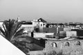 Cityscape of marrakesh medina with palm and mosque tower. Monochromatic Royalty Free Stock Photo