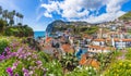 Camara de Lobos, Madeira island, Portugal Royalty Free Stock Photo