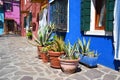 Cityscape pictures of the lovely, stunning, fresh, vibrant and super colorful picturesque Burano