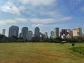 Public Park Cityscape in Sao Paulo