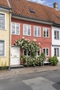 White rose flowers on sidewalk and red traditional house, Helsingor, Denmark Royalty Free Stock Photo