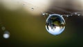Cityscape reflected in dew drop on spider web in nature Royalty Free Stock Photo