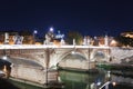 Cityscape romantic night view of Roma. Panorama with Saint Peter\'s basilica and Saint Angelo castle and bridge