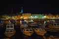 Cityscape of Rovinj port and old town, night view, Istrian Peninsula,Croatia