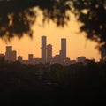 Cityscape silhouette framed by trees at golden hour