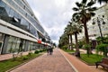 Cityscape of Sochi, Navaginskaya street, pedestrian boulevard