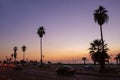 Amazing ÃÂityscape in Tel Aviv - palms close to roads and coastline beach of Tel Aviv . Sunset