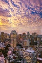 Cityscape of Tokyo, city aerial skyscraper view of office building and downtown of tokyo with sunset / sun rise background. Japan Royalty Free Stock Photo