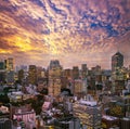 Cityscape of Tokyo, city aerial skyscraper view of office building and downtown of tokyo with sunset / sun rise background. Japan Royalty Free Stock Photo