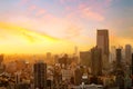 Cityscape of Tokyo, city aerial skyscraper view of office building and downtown of tokyo with sunset / sun rise background. Japan Royalty Free Stock Photo