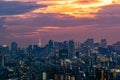 Cityscape of Tokyo skyline, panorama aerial skyscrapers view of office building and downtown in Tokyo in the evening.