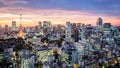 Cityscape of Tokyo skyline, panorama aerial skyscrapers view of office building and downtown in Tokyo in the night.