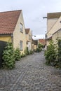 Lane with traditional houses and lush Hollyock plants on cobbled pavement, Dragor, Denmark