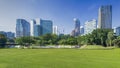 Cityscape and trees grassland garden park at the business town