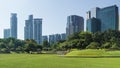 Cityscape and trees grassland garden park at the business town