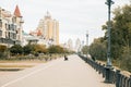 Cityscape. Urban road in a typical street of modern buildings in big city. Bird and green trees in residential district.