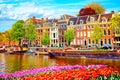 Cityscape view of the canal of Amsterdam in summer with a blue sky and traditional old houses. Colorful spring tulips flowerbed on Royalty Free Stock Photo