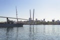 Cityscape of Vladivostok with part of Golden bridge