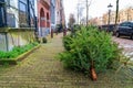 Cityscape in the winter after the holiday - street view with discarded Christmas trees in the historic center of Amsterdam Royalty Free Stock Photo