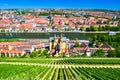 Cityscape of Wurzburg and Main River. Top view to well-groomed vineyards on a hillside from from the Marienberg Fortress. Germany Royalty Free Stock Photo