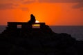 Ciutadella Menorca at Punta Nati sunset with girl